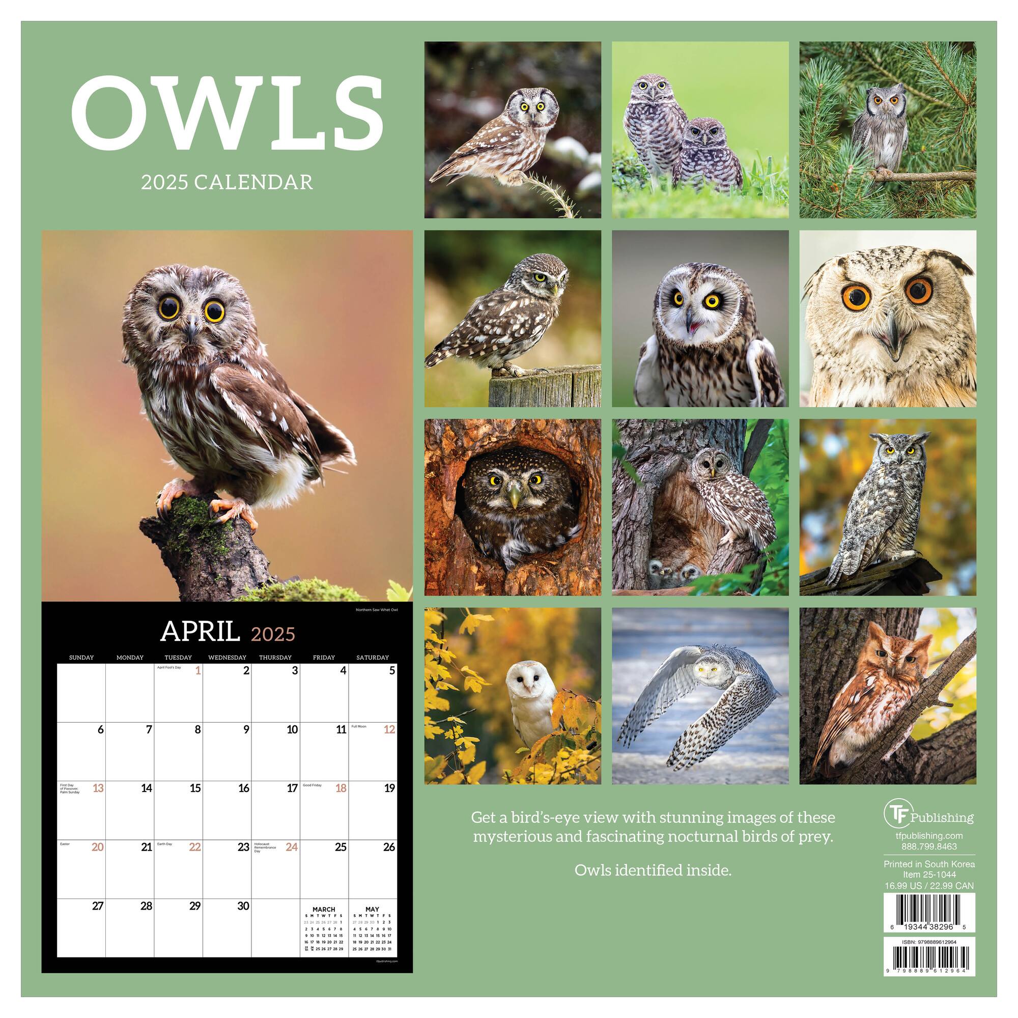 TF Publishing 2025 Owls Wall Calendar